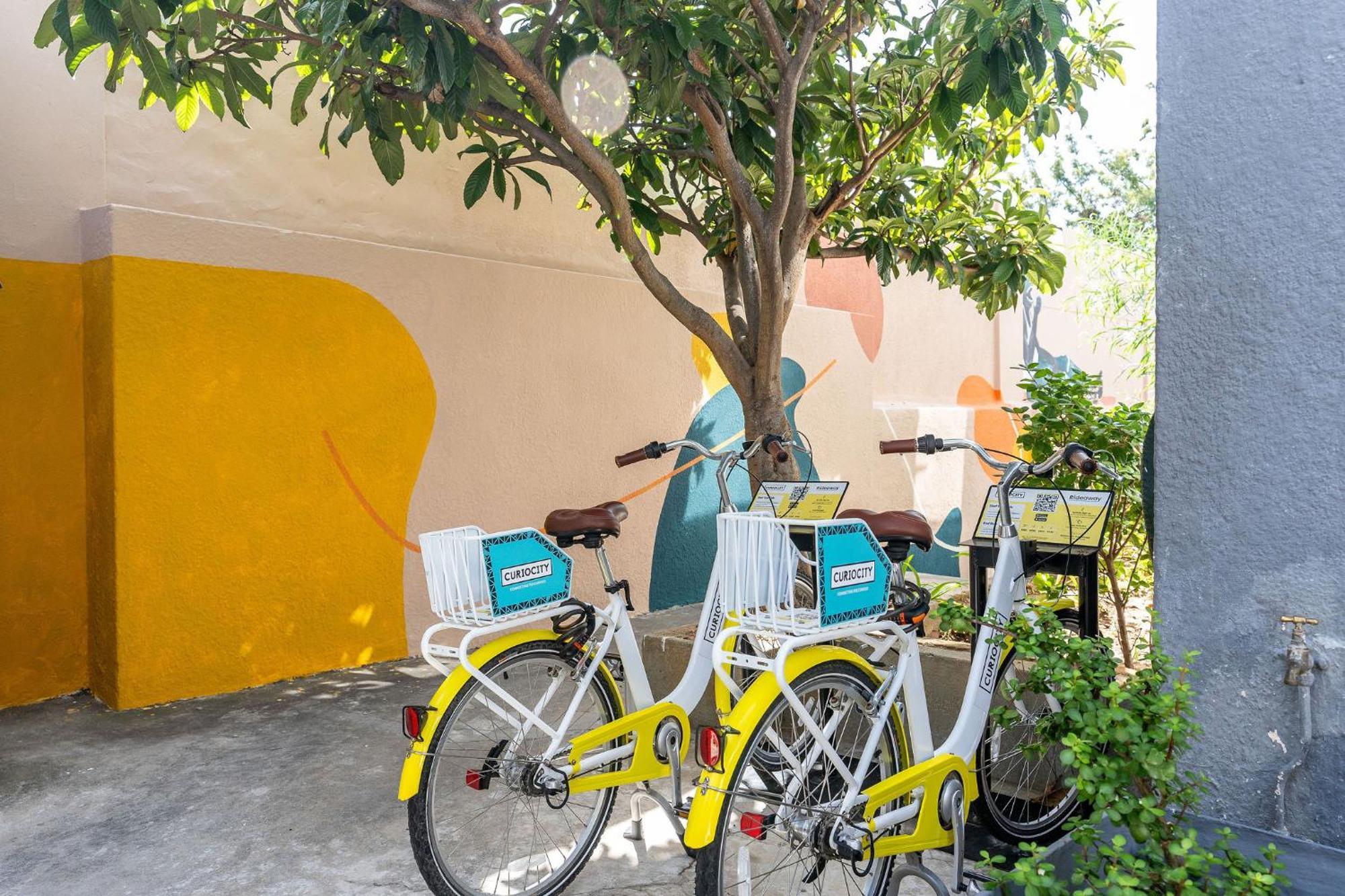 Curiocity Kloof Street كيب تاون المظهر الخارجي الصورة